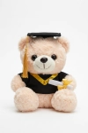 pluchen afstudeerbeer, knuffelbeer met baret, afstudeerbeer met diploma, geslaagd cadeau, proclamatie aandenken, beige knuffelbeer, afstudeercadeau kind