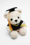 pluchen afstudeerbeer, knuffelbeer met baret, afstudeerbeer met diploma, geslaagd cadeau, proclamatie aandenken, beige knuffelbeer, afstudeercadeau kind